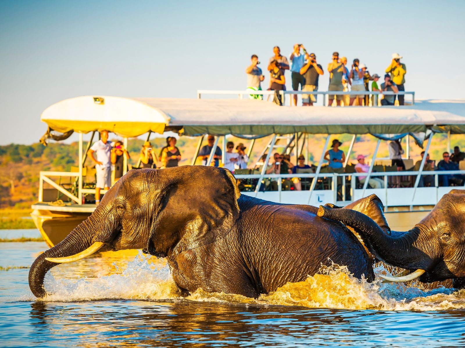 Untitled design - 2023-12-04T084727.775