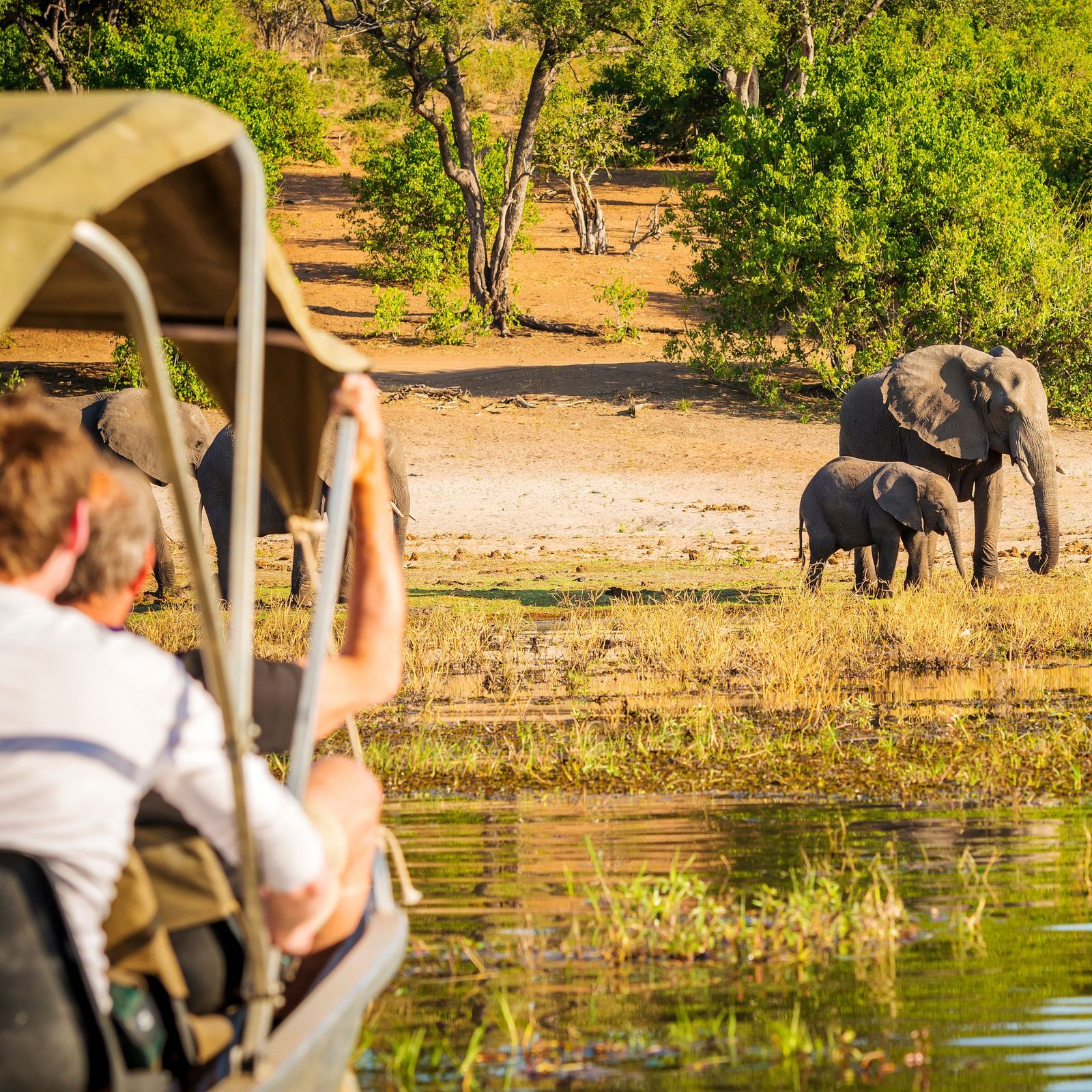 Untitled design - 2023-12-04T103316.621