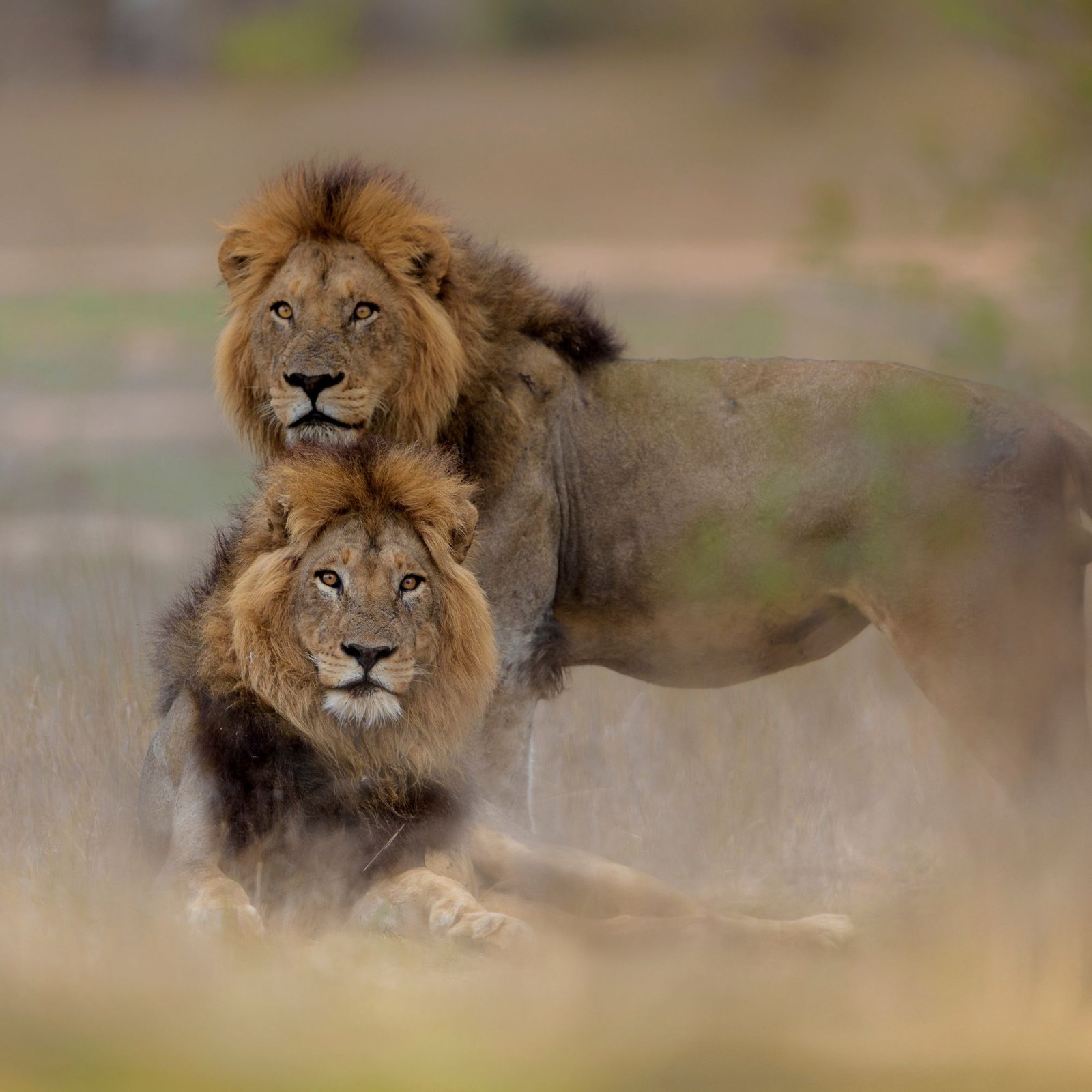 Untitled design (27)