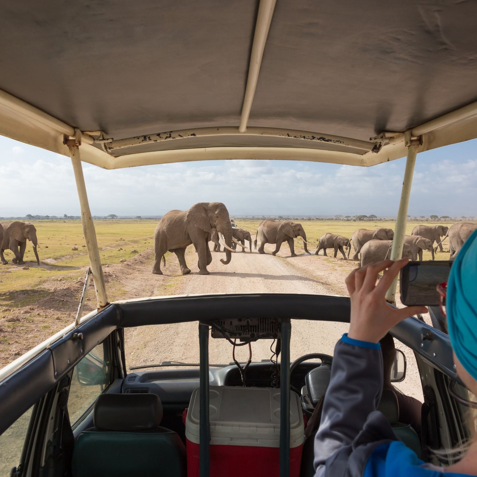 Untitled design (28)