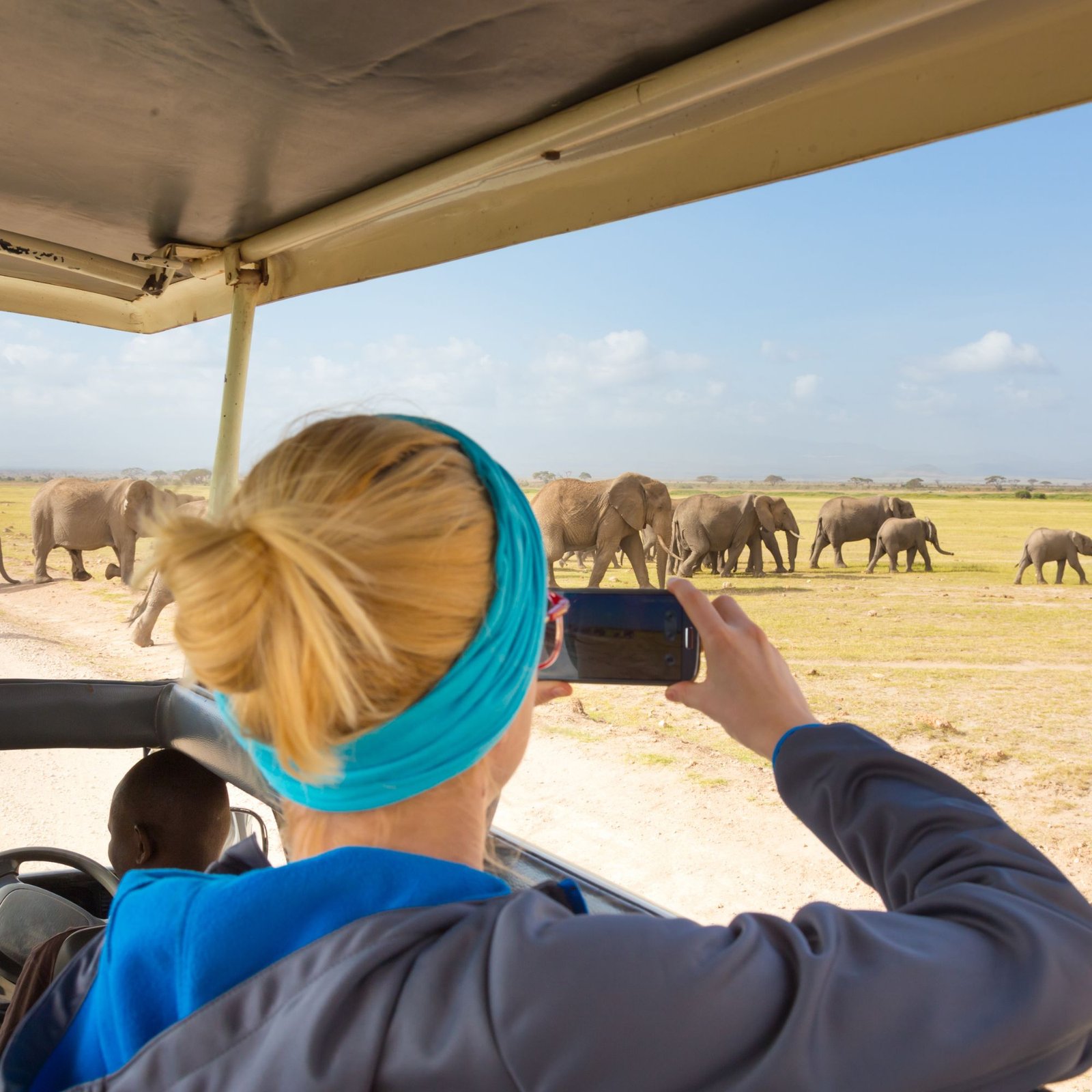 Untitled design (29)