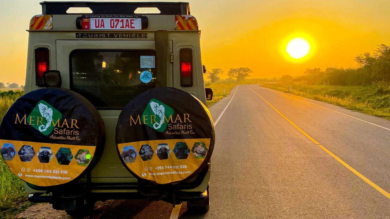 Untitled design (55)